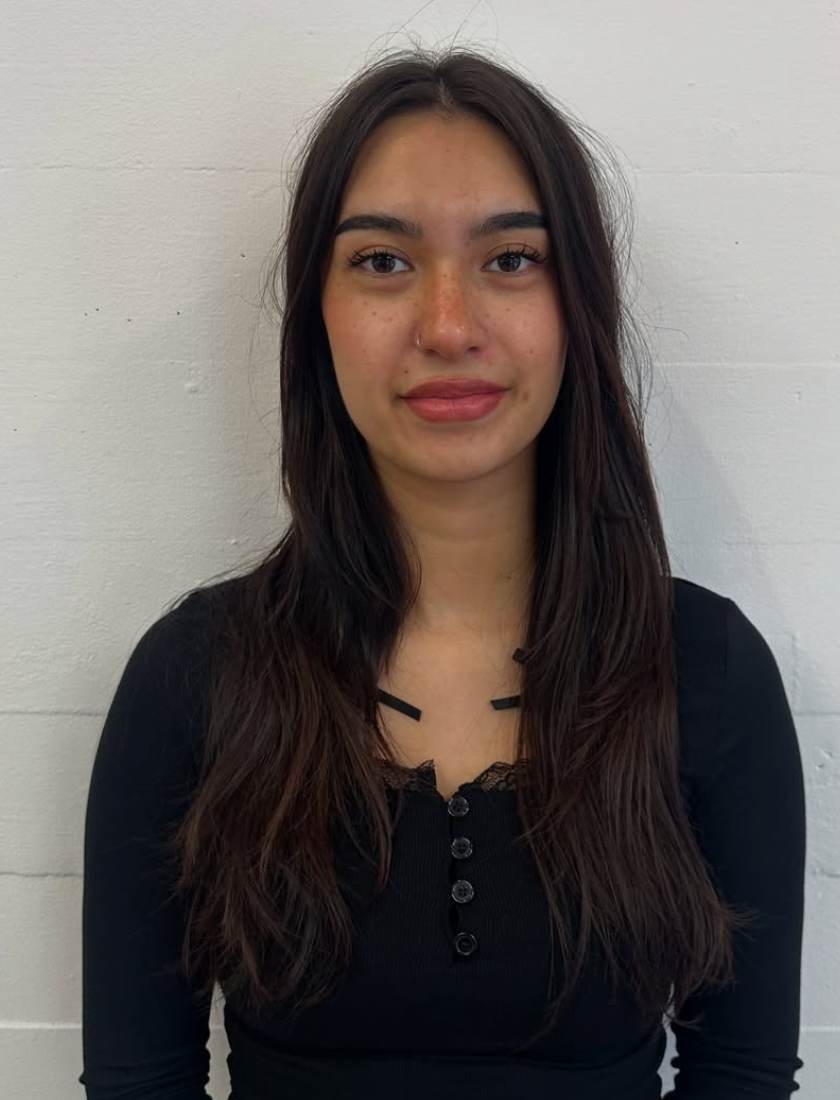 A front profile showing the "before" state of the hair. The hair is a solid, natural dark brown with a simple middle part and no visible highlights or layers.