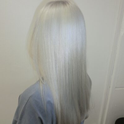 A back view of long, sleek hair that has been transformed into a uniform, even silver platinum blonde. The color is cool-toned with a metallic, icy finish from roots to ends. The hair is styled straight, highlighting the flawless, high-shine silver tone and a clean, healthy trim at the ends.