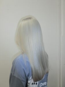 A back view of long, sleek hair that has been transformed into a uniform, even silver platinum blonde. The color is cool-toned with a metallic, icy finish from roots to ends. The hair is styled straight, highlighting the flawless, high-shine silver tone and a clean, healthy trim at the ends.