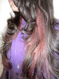 A side profile view of shoulder-length dark brown or black hair with a hidden vibrant pink layer underneath. The top section of the hair remains a natural dark tone, while the pink color peeks through from the bottom layers near the neck and ears.