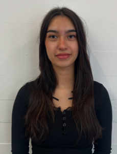 A front profile showing the "before" state of the hair. The hair is a solid, natural dark brown with a simple middle part and no visible highlights or layers.