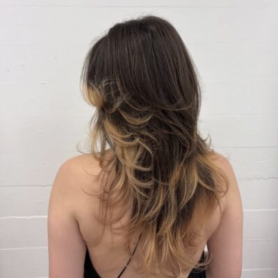 A back view of the same long, waist-length brown hair, updated with a dip-dye effect. The main lengths retain the deep brunette color, while the bottom few inches at the very tips are dyed a contrasting bright golden blonde, creating a sharp, horizontal color transition.
